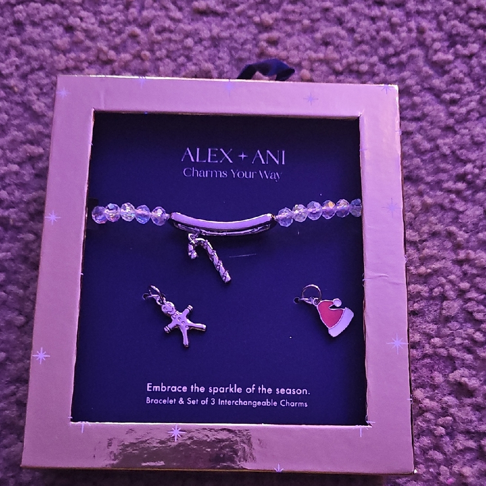 Alex and Ani Silver and Red Charm Bracelet
